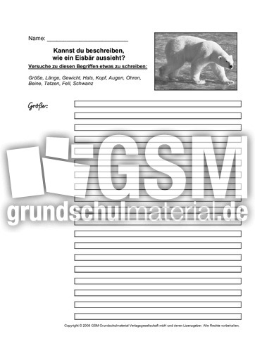 Eisbär-Aussehen-beschreiben.pdf